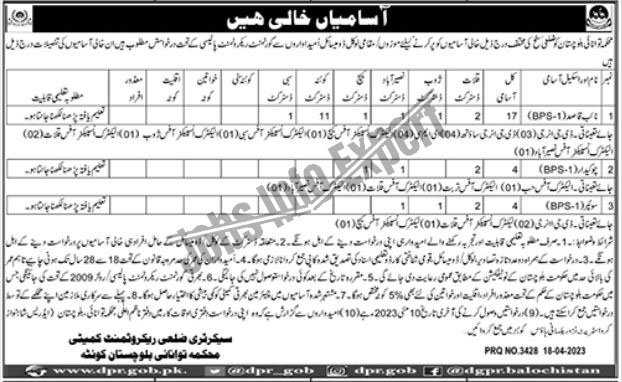 Energy Department Balochistan 2023 Jobs