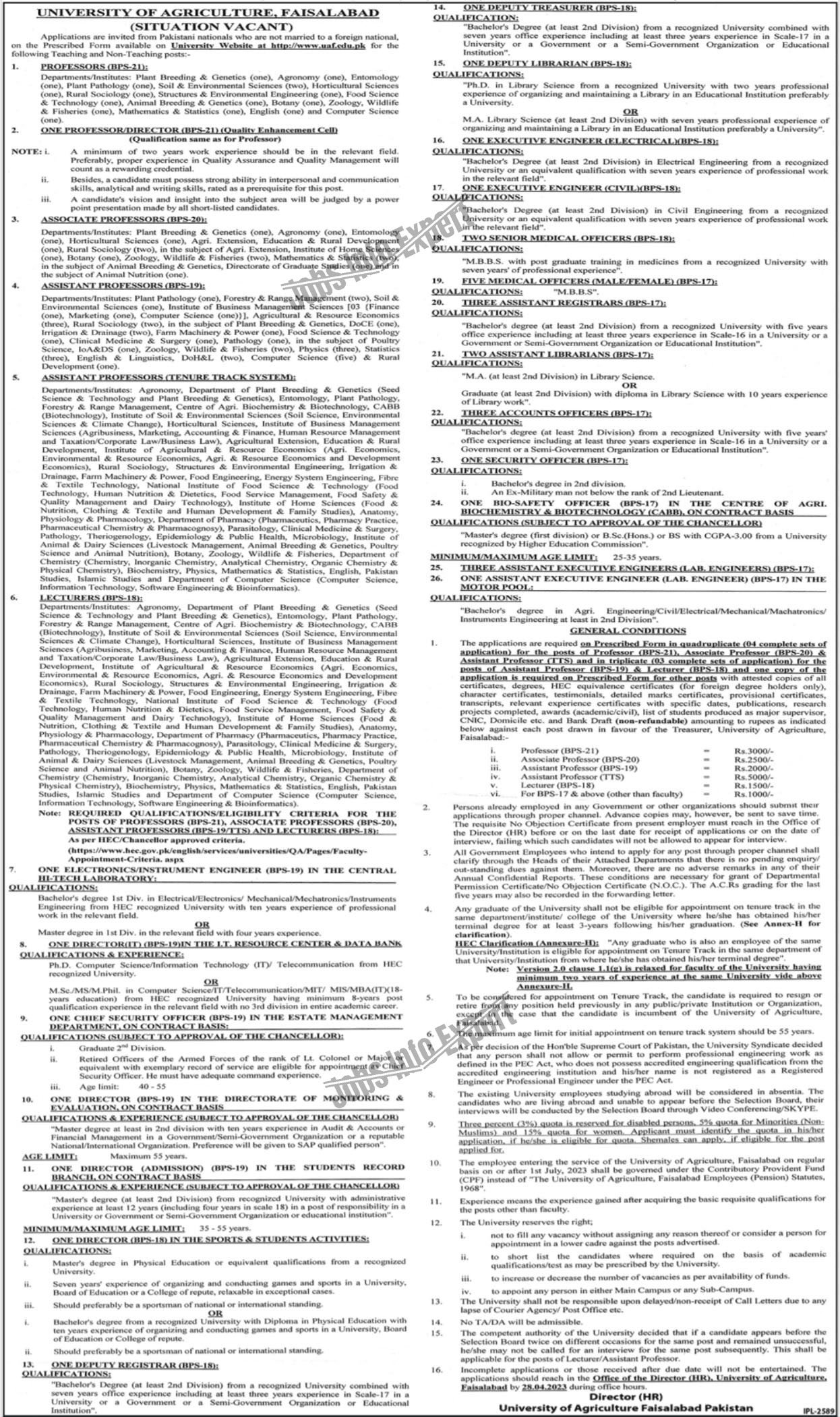 University of Agriculture Faisalabad 2023 Jobs